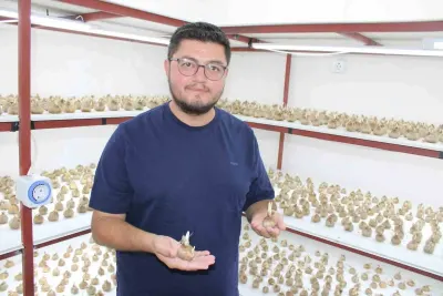 Kayseri’de Bir İlke İmza Attı: Kilogramı 900 Bin TL Olan Safranı Kapalı Alanda Yetiştiriyor