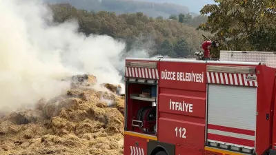 Düzce'deki Besi Çiftliğinde Çıkan Yangın Kontrol Altına Alındı