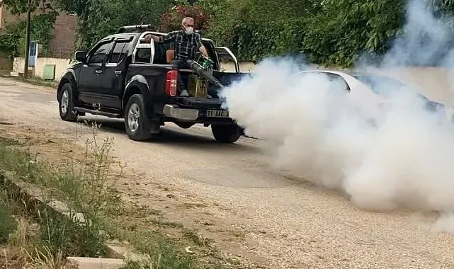 Köyündeki sinek sorununa bizzat kendisi el attı