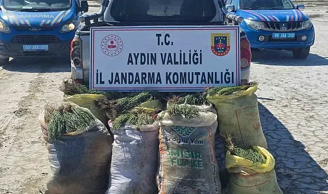 Doğal koruma alanlarında izinsiz bitki toplayan 8 şüpheliye işlem yapıldı