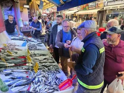 Samsun’da Palamut Fiyatları Düştü, Tezgahlarda Yoğunluk Yaşandı