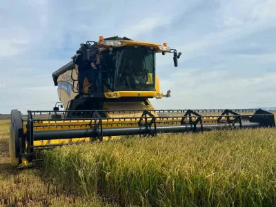 Edirne Keşan'da Çeltik Hasadı Başladı: Üreticilerden Bereket ve Maliyet Vurgusu