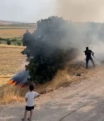 Adıyaman'da Bahçe Yangını Korkuttu: Çok Sayıda Ağaç Zarar Gördü