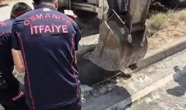 Osmaniye'de mazgala düşen yavru kedi itfaiye ekiplerince kurtarıldı