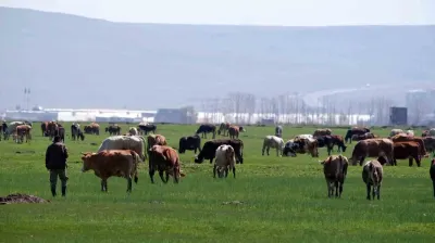 Erzurum'da Kırsal Kalkınma Hamlesi: 329 Projeye 171 Milyon TL'lik Hibe