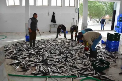 Muğla, Ege Bölgesi'nde İhracatını En Fazla Artıran İl Oldu