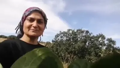 Sivas'ta Karpuz İkramını Beğenen Tilki, Eşiyle Birlikte Geri Döndü