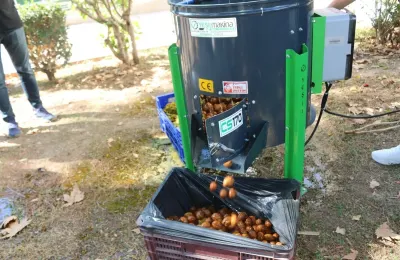 Antalya'da üreticilere ceviz soyma makinesi desteği