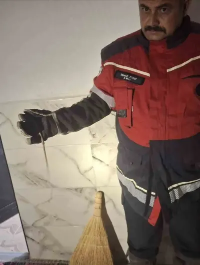 Hatay'da yerleşim alanlarına giren yılanlar doğaya salındı