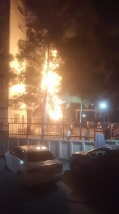Diyarbakır'da Havai Fişek Tehlikesi: Ağaç Yandı, Ekipler Müdahale Etti