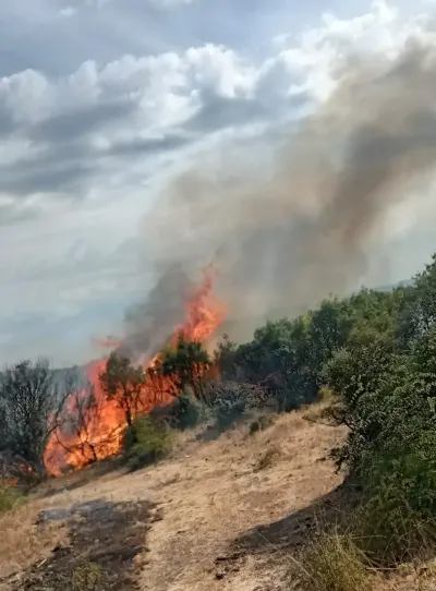Çanakkale Ayvacık'ta Makilik Alandaki Yangın Söndürüldü