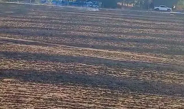 Keskin Mahallesi'ndeki ot yangını büyümeden söndürüldü