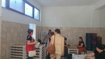 Aydın İncirinin Kalitesi İçin Bozdoğan'da Sıkı Saha Denetimi