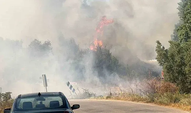 İznik'te korkutan yangın