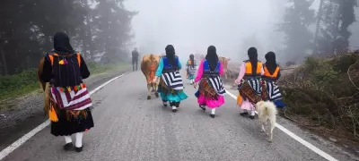 Trabzon'da Asırlık Yayla Göçü Başladı: Besiciler Köylerine Dönüyor