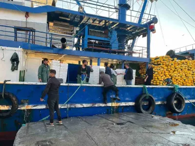 Didim'de Sürdürülebilir Balıkçılık İçin Hamsi Kotası Denetimleri Aralıksız Sürüyor