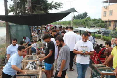 Adana'daki Kuş Pazarında Renkli Görüntüler ve Yoğun İlgi