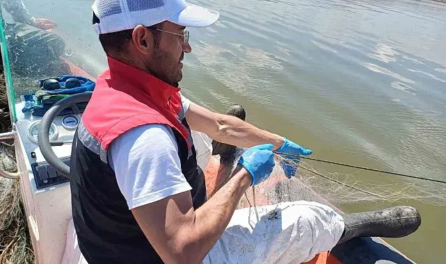 Çorum'da 3 bin 100 metre hayalet ağ ele geçirildi