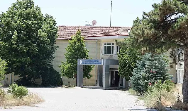 Vandallar, eski fizik tedavi merkezinin duvarlarına sprey boyalarla yazı yazdı