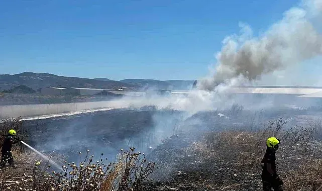 Burhaniye'de işletme bahçesindeki yangın itfaiye ekiplerince söndürüldü