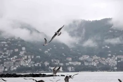 Ordu'nun Simgesi Boztepe'de Sisli Hava Eşsiz Manzara Oluşturdu
