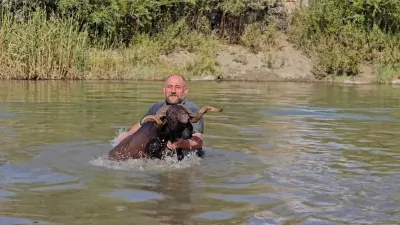 Muşlu Besici Erkan Türe Koyunlarını Kışa Karasu Nehri'nde Hazırlıyor