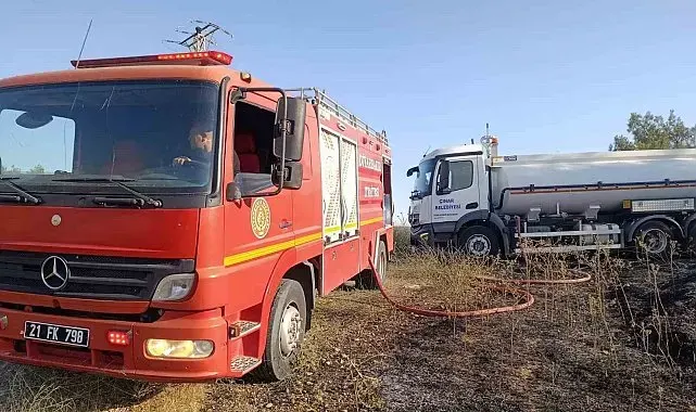 Anız ve örtü yangınında direkte bulunan leylekler telef oldu