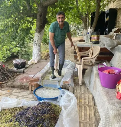 Aydın'da Geleneksel Pekmez Mesaisi Başladı