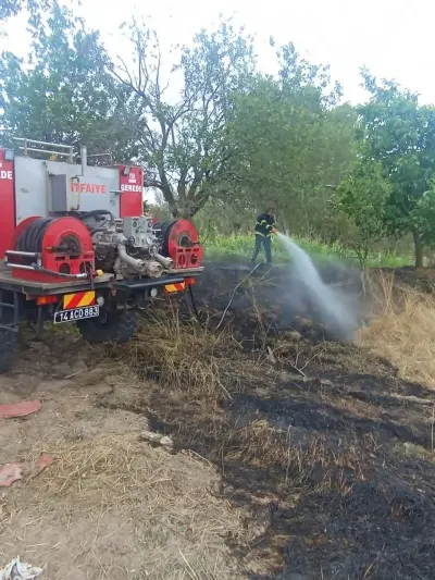 Bolu'da Elektrik Tellerine Çarpan Kuş Anız Yangınına Yol Açtı