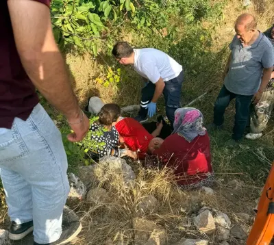 Adıyaman'da Ceviz Toplarken Düşen Vatandaş Yaralandı