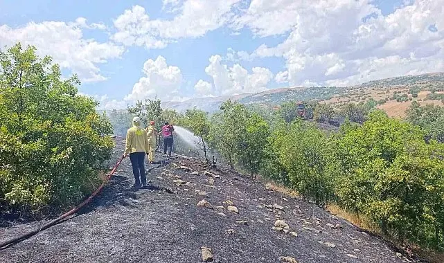 Bingöl'de orman yangını büyümeden söndürüldü