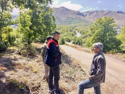 Afyonkarahisar'da kaybolan 9 büyükbaş hayvan dron ile havadan aranarak bulundu