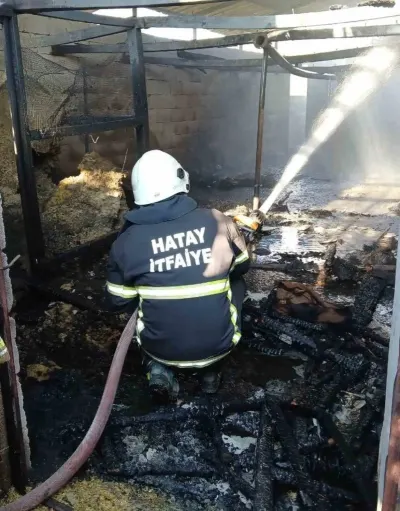 Hatay'ın Hassa İlçesinde Çıkan Yangın Korkuttu