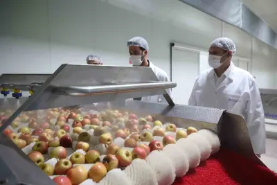 Antalya'da Tarım Sektörüne Destek: Korkuteli Kurutma Tesisi Üretime Başladı