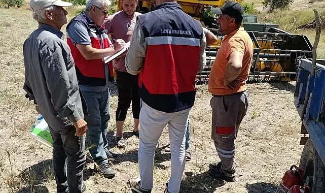 Gediz'de biçerdöverle hasat kontrolleri sürüyor