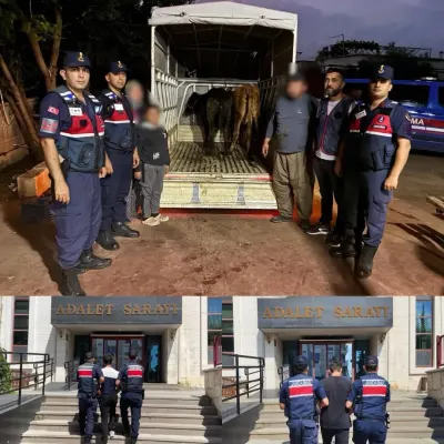 Antalya’da Çalınan Hayvanlar JASAT Operasyonuyla Bulundu