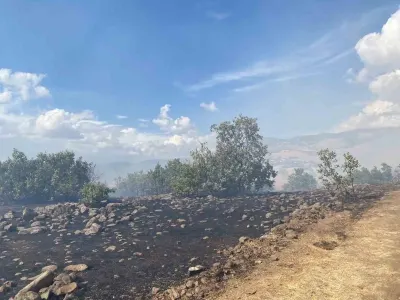 Elazığ'da Orman Yangını: Ekiplerin Müdahalesiyle Söndürüldü