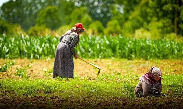 Kocaeli'de tarım ve hayvancılığa 7 yılda 1,5 milyar lirayı aşkın destek sağlandı