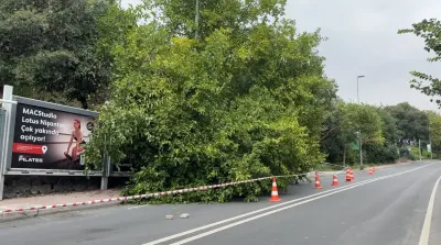 İSTANBUL'DA SAĞANAK YAĞIŞ HAYATI FELÇ ETTİ: AĞAÇLAR DEVRİLDİ, RÖGARLAR TAŞTI