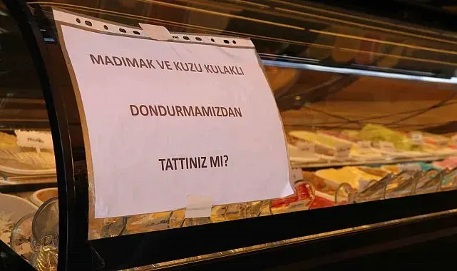 Türkülere konu olan madımakın dondurmasını yaptılar