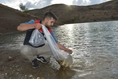 Bayburt'taki Su Kaynaklarına 150 Bin Sazan Yavrusu Bırakıldı