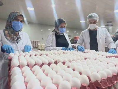 ATSO Üyesi Kumartaşlı'dan Yumurta Açıklaması: Kısa Vadede Zam Yok
