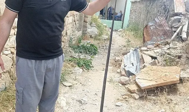 Baykan'da yılan paniği