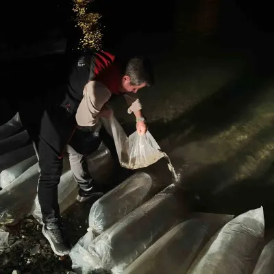 Erzurum'daki İç Sulara 340 Bin Yavru Sazan Bırakıldı