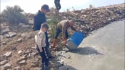 Edirne'de Sulama Kanalında Mahsur Kalan Balıklar Gölete Salındı