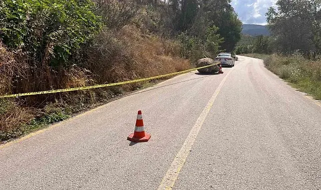 Dev kaya parçası yola düştü