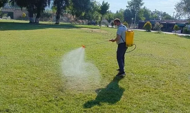 Sakarya Nehri kıyısında haşereye karşı yoğun mesai