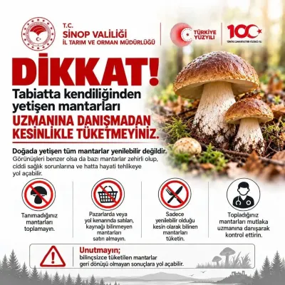 Sinop'ta Mantar Toplayıcılarına Ölümcül Zehirlenme Uyarısı