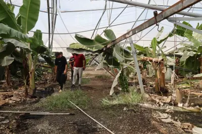 Adana'da şiddetli fırtına: Çiftliğin çatısı uçtu, 20 bin civciv telef oldu