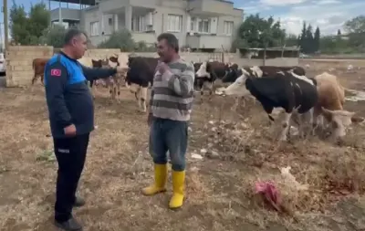İslahiye'de Kaybolan 17 Büyükbaş Hayvan Kulak Küpeleri Sayesinde Sahibine Teslim Edildi